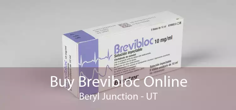 Buy Brevibloc Online Beryl Junction - UT