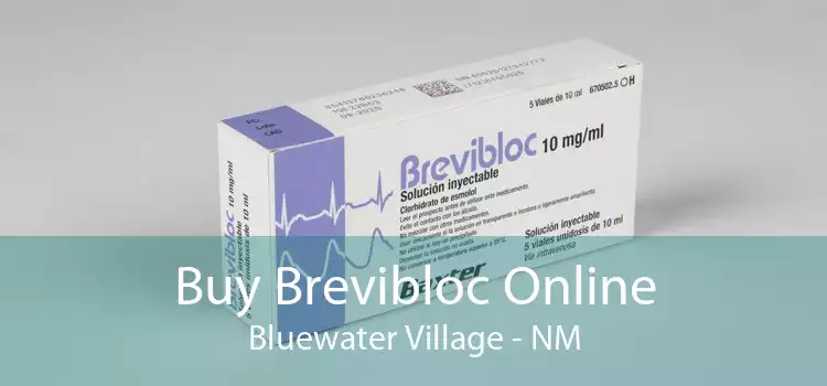 Buy Brevibloc Online Bluewater Village - NM