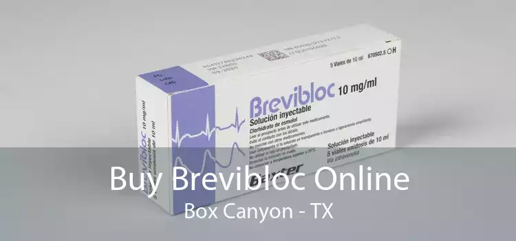 Buy Brevibloc Online Box Canyon - TX