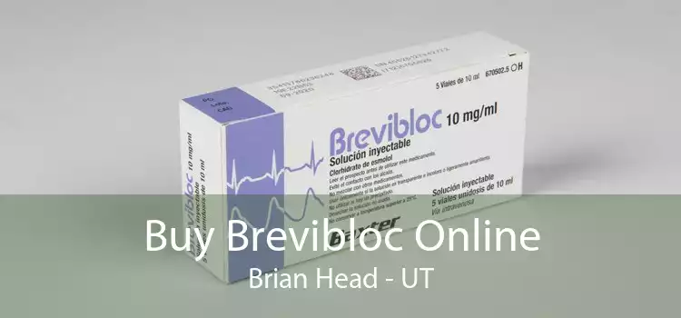 Buy Brevibloc Online Brian Head - UT