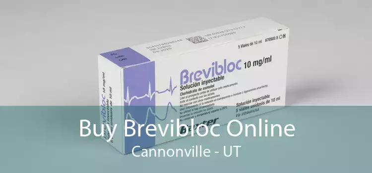 Buy Brevibloc Online Cannonville - UT
